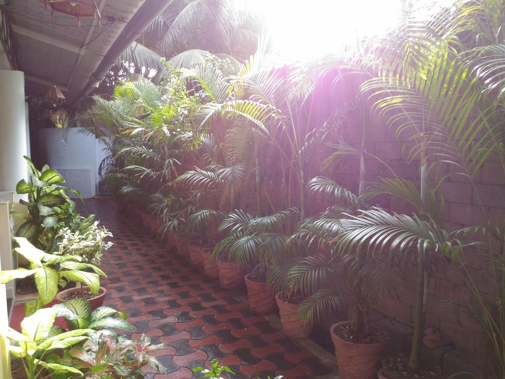 Alba Rooms Palolem Rosebuds ภายนอก รูปภาพ